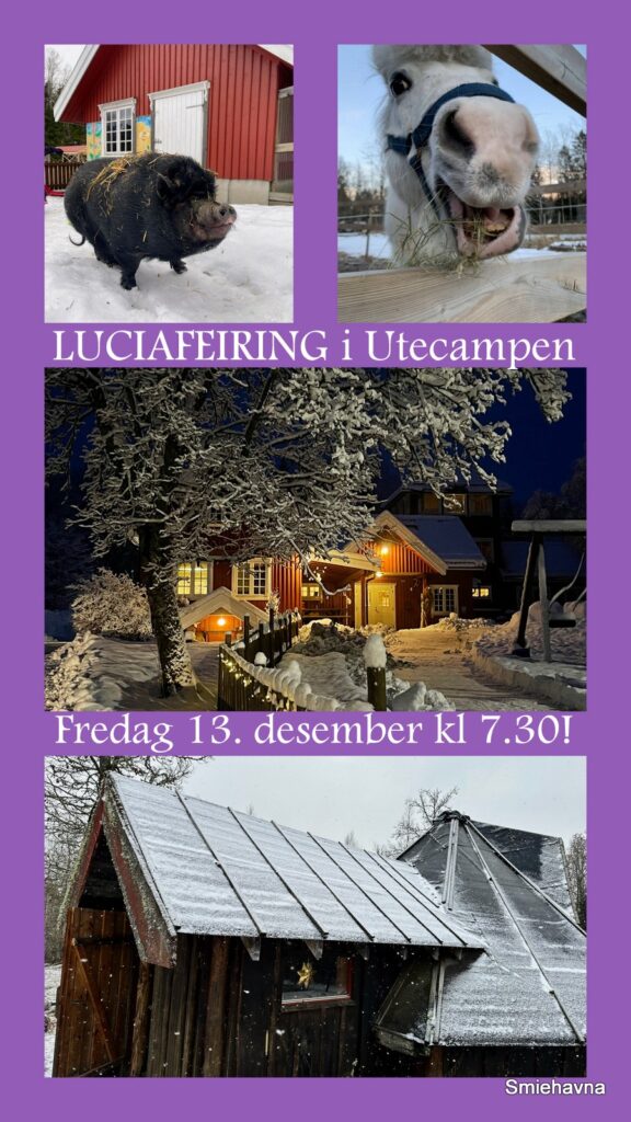 Velkommen til Luciafeiring 13. desember!